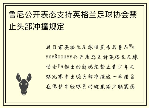 鲁尼公开表态支持英格兰足球协会禁止头部冲撞规定