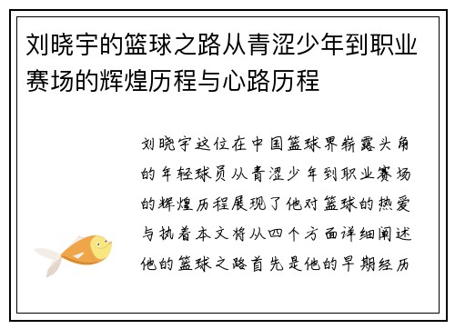 刘晓宇的篮球之路从青涩少年到职业赛场的辉煌历程与心路历程